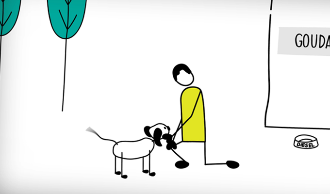 Dierenbescherming animatie koers